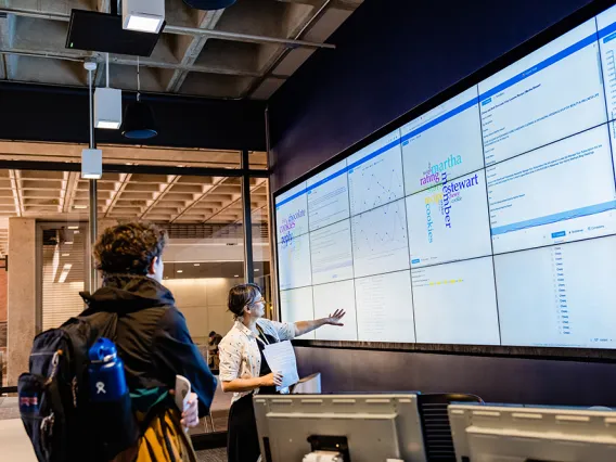 Big monitor